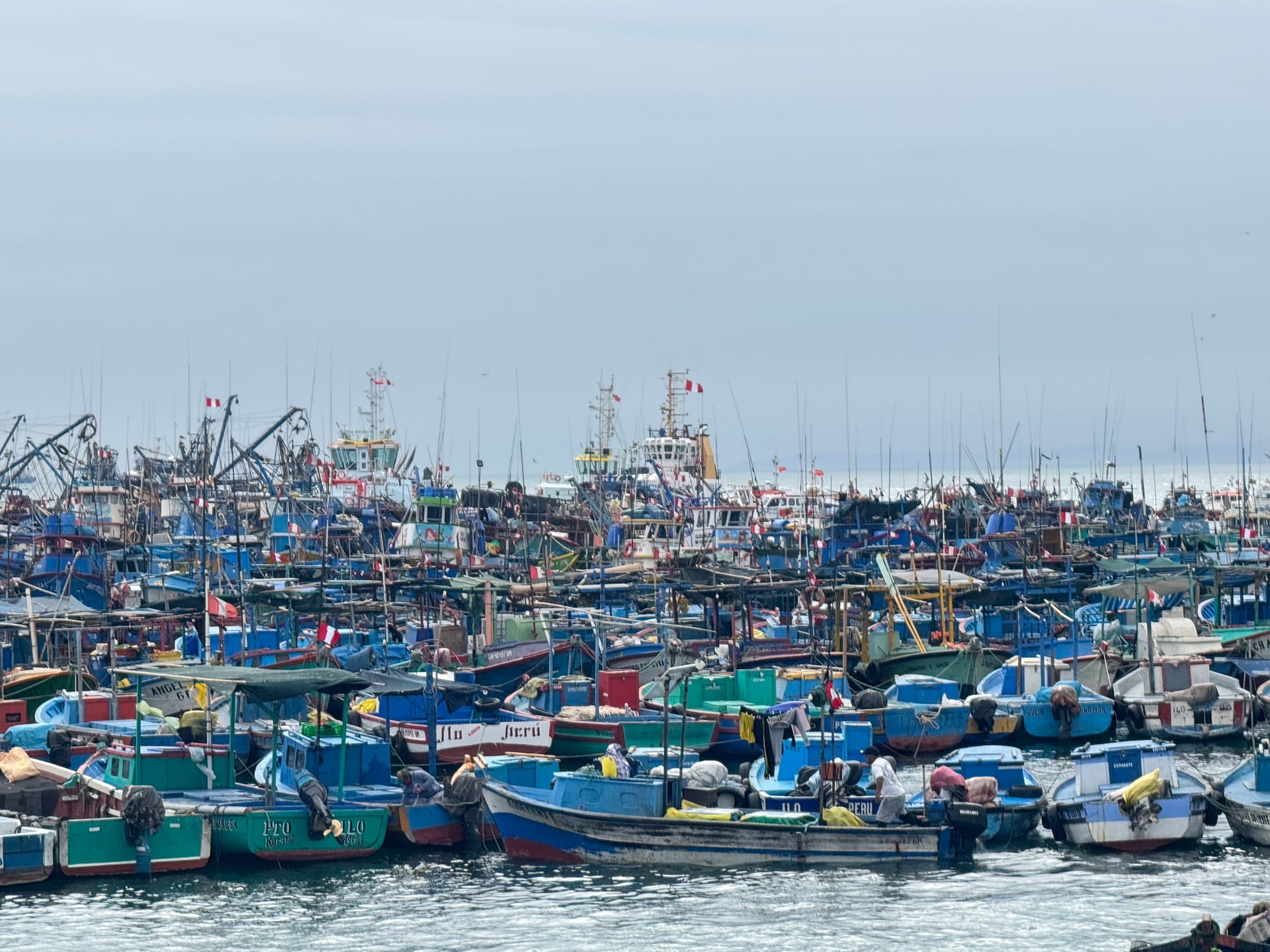 Bateaux de pêche colorés serrés dans le port d'Ilo