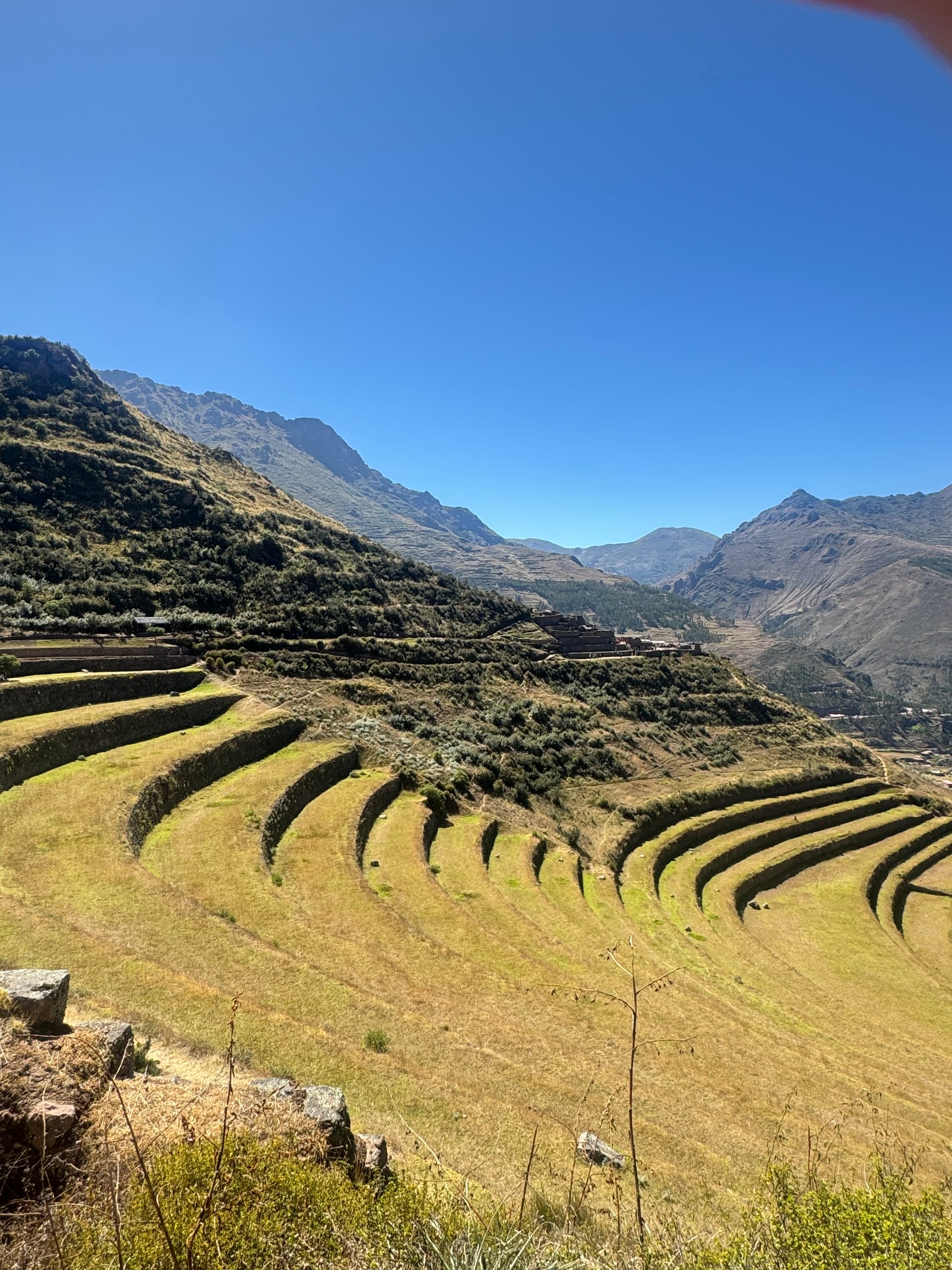 Terrasses agricoles incas en courbes sur les pentes du site de Pisac